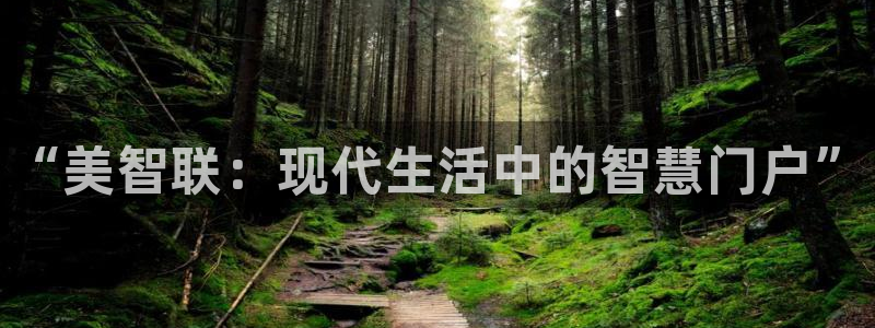 年会金句心得：“美智联：现代生活中的智慧门户”