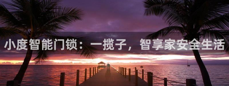 金年会体育平台官网：小度智能门锁：一揽子，智享家安全生活