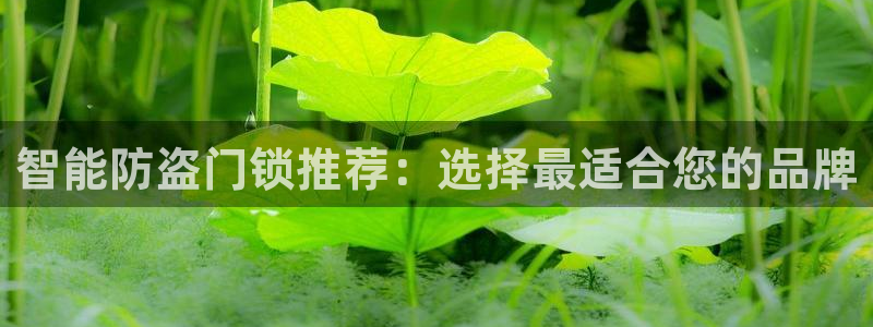 金年会体育官方：智能防盗门锁推荐：选择最适合您的品牌