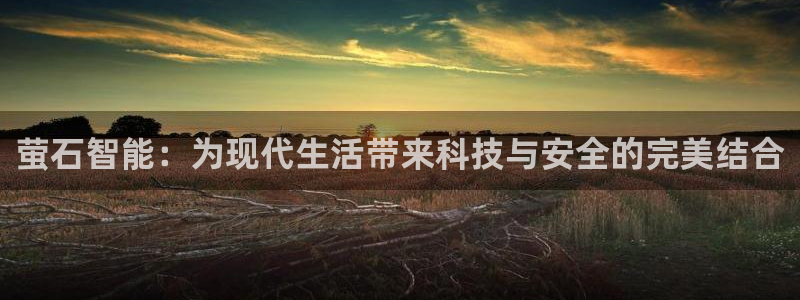 金年会体育平台入口：萤石智能：为现代生活带来科技与安全的完美