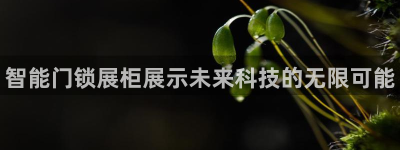 金年会体育下载：智能门锁展柜展示未来科技的无限可能