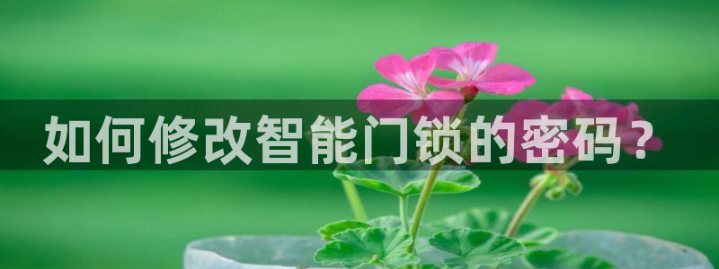 金年会入口网站：如何修改智能门锁的密码？
