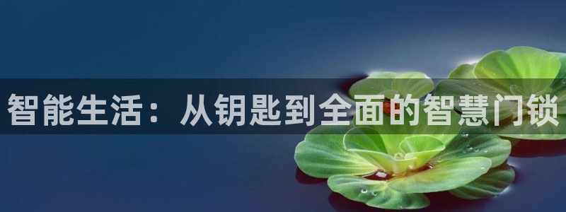 金年会平台包赔：智能生活：从钥匙到全面的智慧门锁