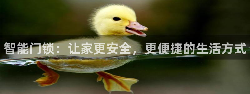 金年会APP下载：智能门锁：让家更安全，更便捷的生活方式