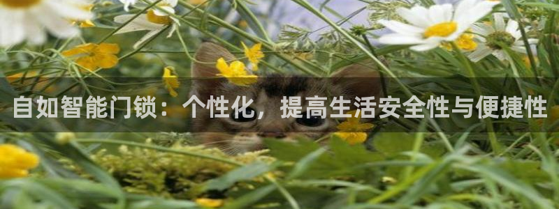 金年会娱乐官网：自如智能门锁：个性化，提高生活安全性与便捷性