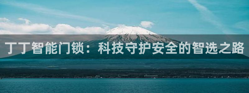 金年会综合APP：丁丁智能门锁：科技守护安全的智选之路