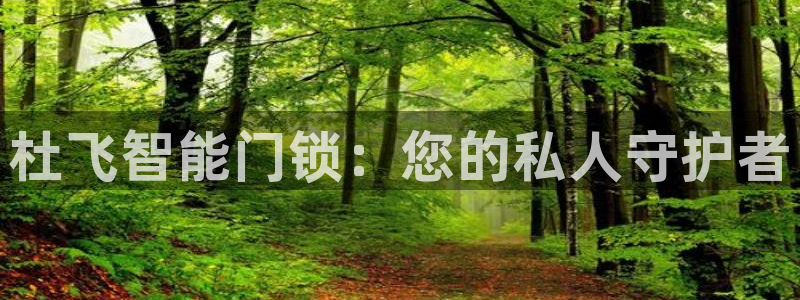 金年会娱乐下载app：杜飞智能门锁：您的私人守护者