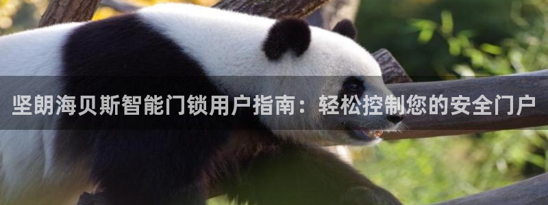 澳门金年会棋牌：坚朗海贝斯智能门锁用户指南：轻松控制您的安全