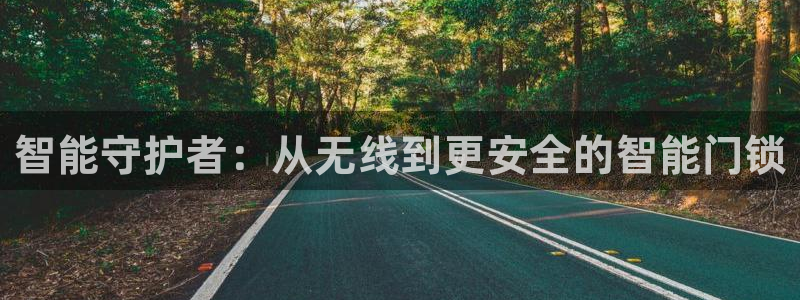 金年会手机版：智能守护者：从无线到更安全的智能门锁