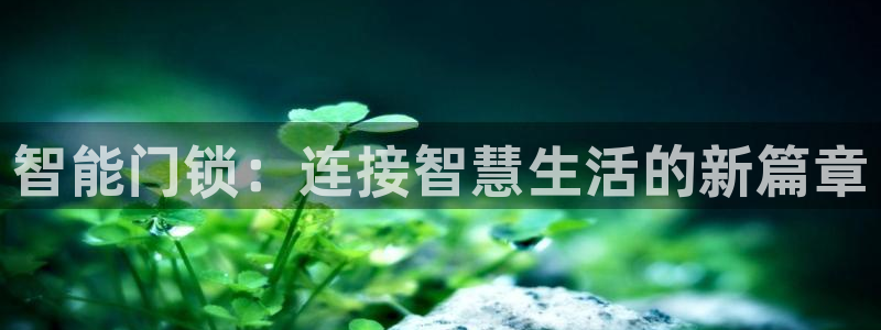 金金年会：智能门锁：连接智慧生活的新篇章