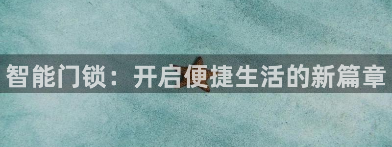 金年会品牌：智能门锁：开启便捷生活的新篇章