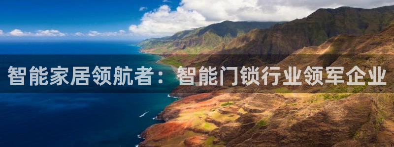 金年会 平台：智能家居领航者：智能门锁行业领军企业