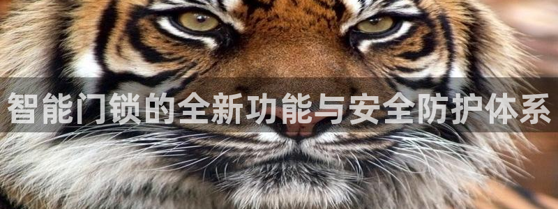 金年会官网：智能门锁的全新功能与安全防护体系