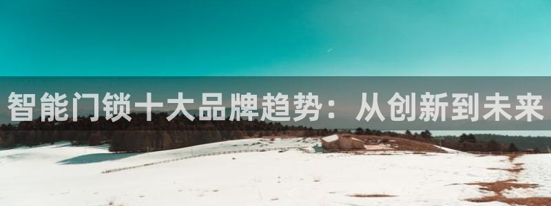 金年会体育下载：智能门锁十大品牌趋势：从创新到未来