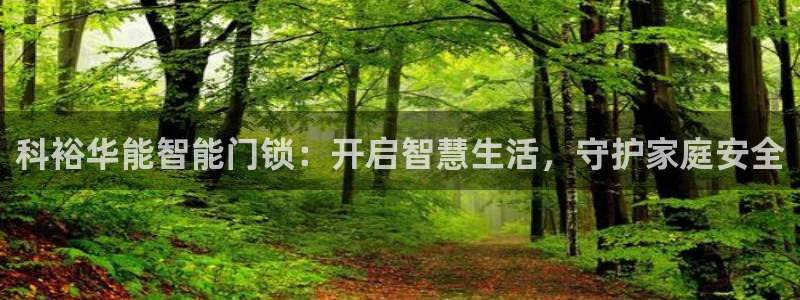 金吉年会：科裕华能智能门锁：开启智慧生活，守护家庭安全