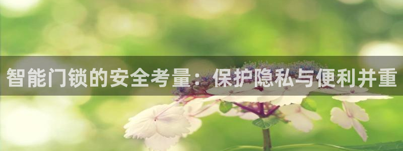 金年会官方入口：智能门锁的安全考量：保护隐私与便利并重