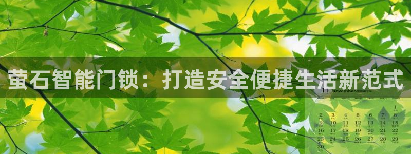 金金年会：萤石智能门锁：打造安全便捷生活新范式