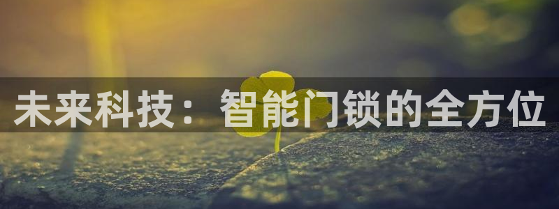 金年会官方体育登录入口：未来科技：智能门锁的全方位