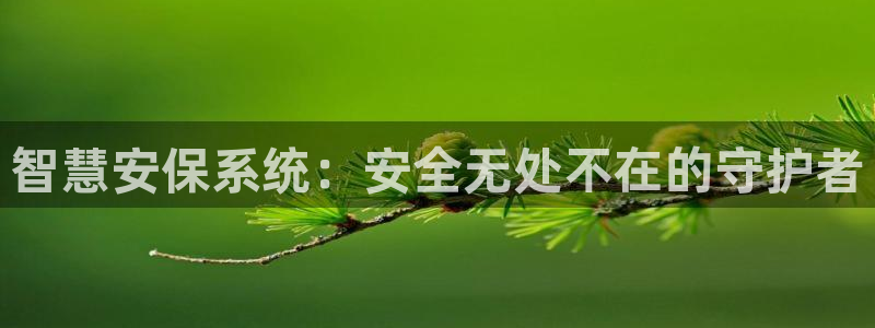 金年会这个平台：智慧安保系统：安全无处不在的守护者