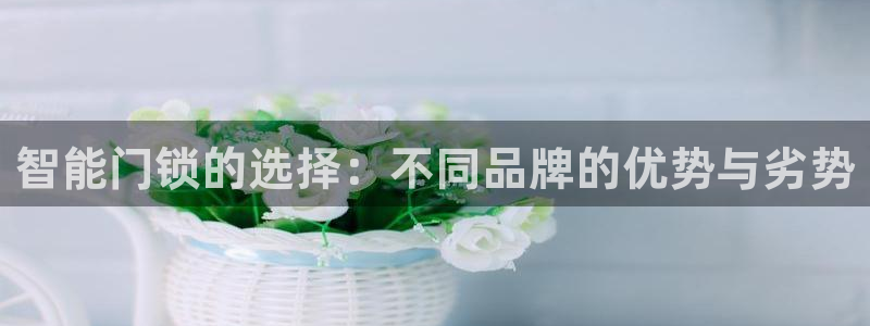 金年会手机网页登录：智能门锁的选择：不同品牌的优势与劣势