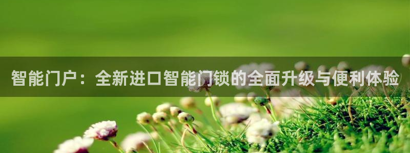金年会com：智能门户：全新进口智能门锁的全面升级与便利体验