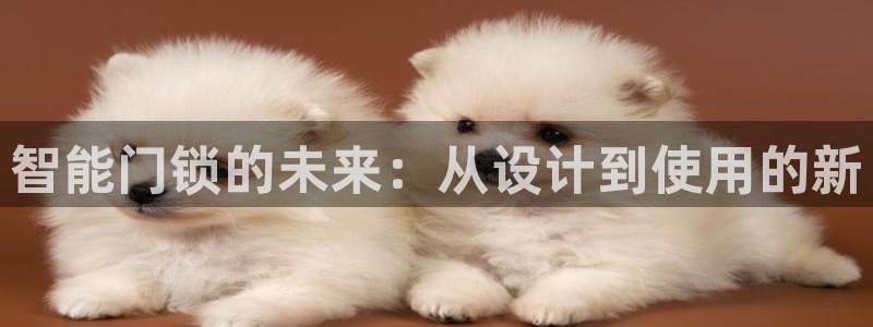 金年会入口网站：智能门锁的未来：从设计到使用的新