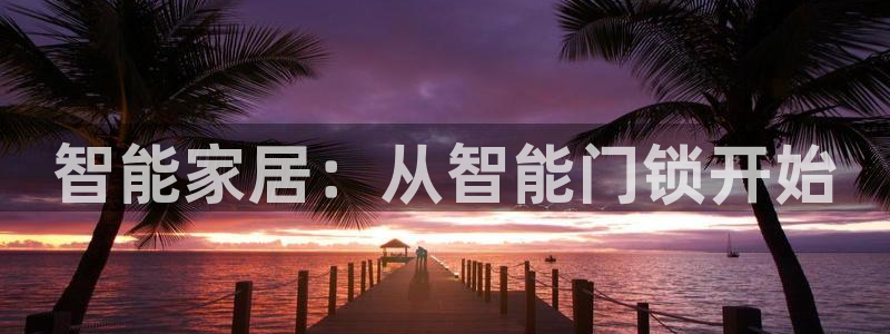 类似金年会：智能家居：从智能门锁开始