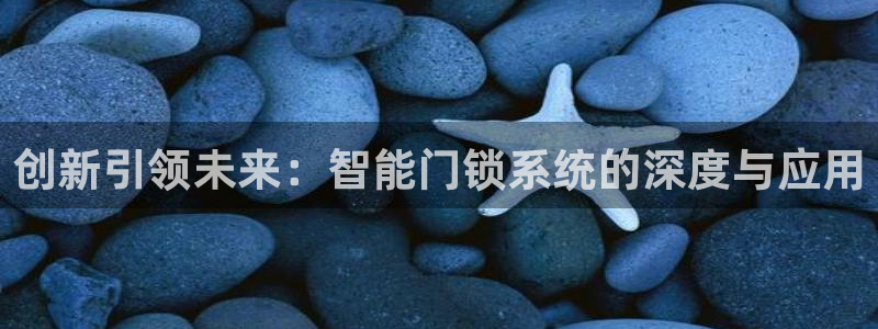 年会金句心得：创新引领未来：智能门锁系统的深度与应用