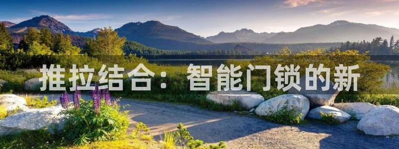 金年会官网入口：推拉结合：智能门锁的新