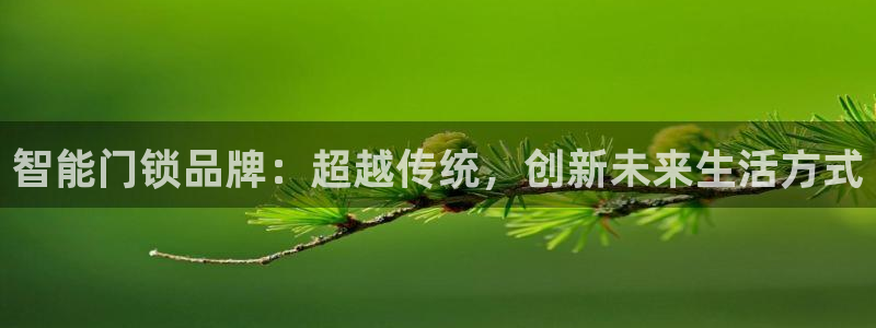 金年会娱乐提现：智能门锁品牌：超越传统，创新未来生活方式