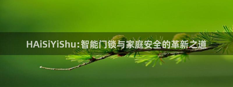 2022年金科年会：HAiSiYiShu:智能门锁与家庭安全
