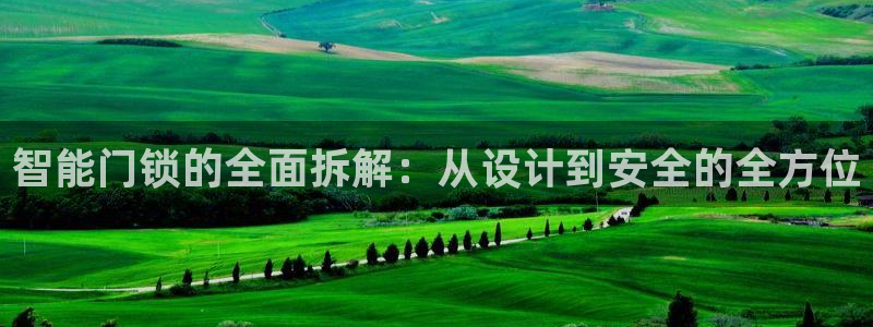 金年会APP安装下载：智能门锁的全面拆解：从设计到安全的全方