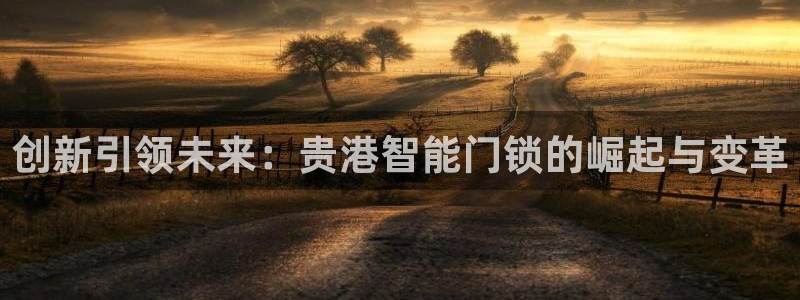 金年会体育在线入口：创新引领未来：贵港智能门锁的崛起与变革