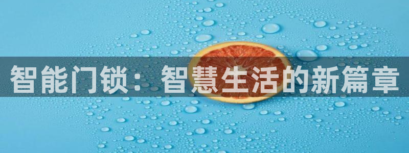 金年会赞助商：智能门锁：智慧生活的新篇章