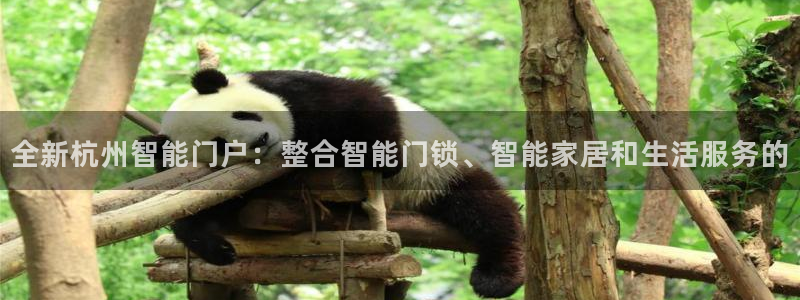 金辉城年会视频：全新杭州智能门户：整合智能门锁、智能家居和生