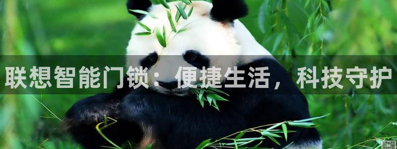 金年会开户：联想智能门锁：便捷生活，科技守护
