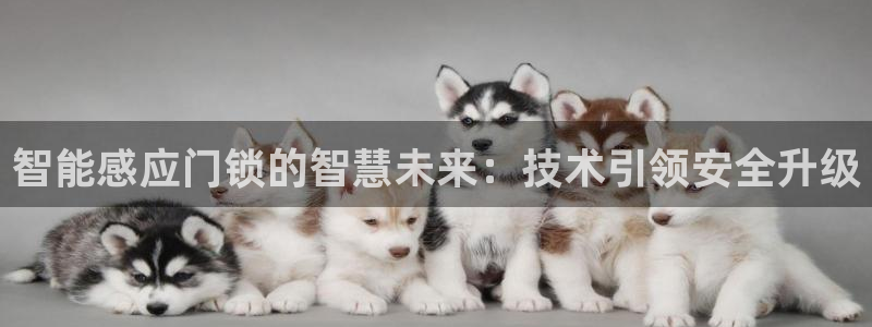澳门金年会棋牌：智能感应门锁的智慧未来：技术引领安全升级
