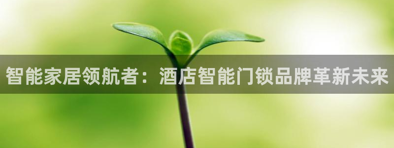 金年会官方客服电话：智能家居领航者：酒店智能门锁品牌革新未来