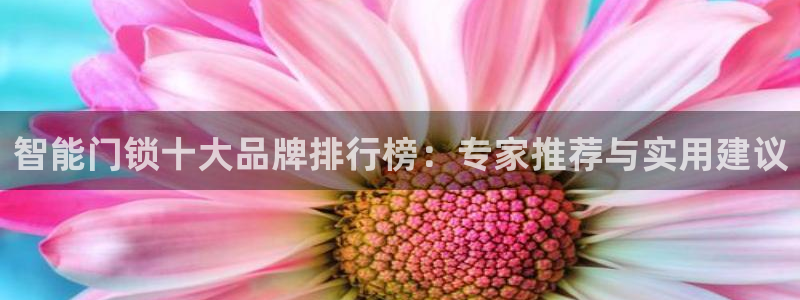 金齿科年会：智能门锁十大品牌排行榜：专家推荐与实用建议