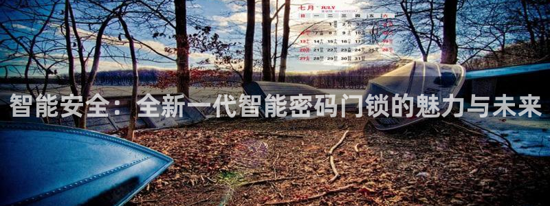 金升年会：智能安全：全新一代智能密码门锁的魅力与未来