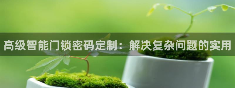 金进年会