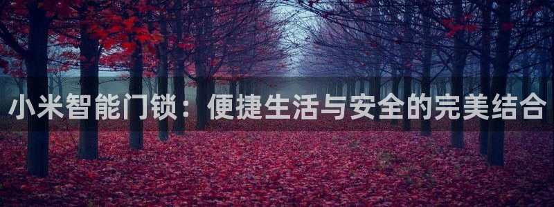 金年会金字招牌信誉：小米智能门锁：便捷生活与安全的完美结合