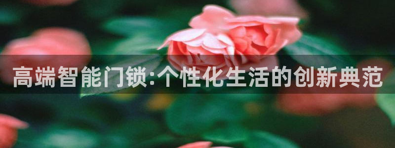 金年会app桌面：高端智能门锁:个性化生活的创新典范