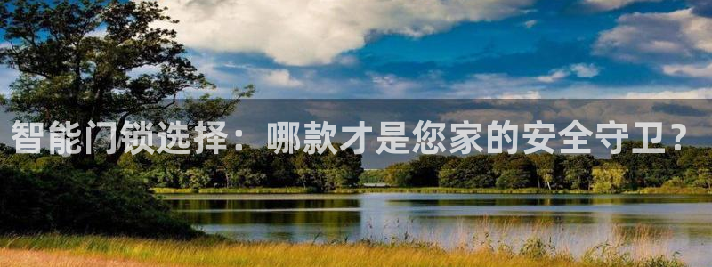 金年会手机网页登录：智能门锁选择：哪款才是您家的安全守卫？