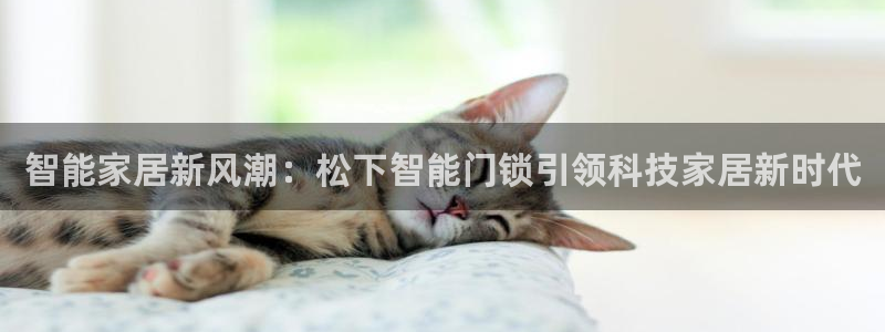 金年会注册官网：智能家居新风潮：松下智能门锁引领科技家居新时