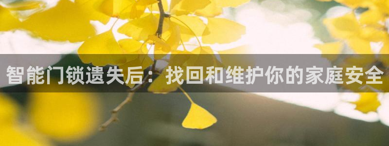 金年会彩金：智能门锁遗失后：找回和维护你的家庭安全