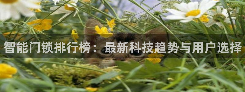 体育金年会：智能门锁排行榜：最新科技趋势与用户选择