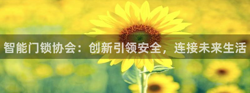 金年会登录：智能门锁协会：创新引领安全，连接未来生活
