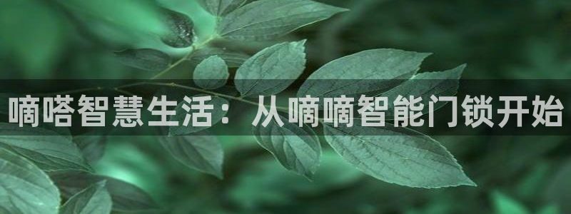 金年会娱乐官网