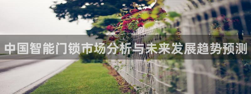 金年会电子游戏app
